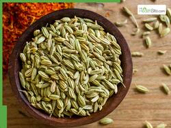 Fennel Seeds Water On Empty Stomach: 5 Health Benefits of Drinking Soaked Saunf Water Every Morning