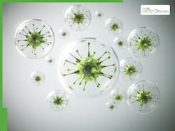 Canada Confirms First Case Of Mpox Clade I Virus; Traveller From Manitoba Tests Positive