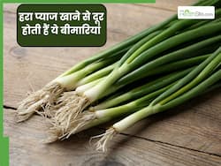 हरे प्याज खाने से कौन सी बीमारियां दूर होती हैं? नाम जानकर चौंक जाएंगे आप