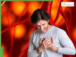 High Cholesterol Spike At Night Control Tips: 5 Green Superfoods To Unclog Blocked Arteries