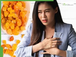 High Cholesterol Induced Clogged Arteries: 5 Yellow Superfoods To Prevent Nighttime Plaque Formation And Stroke