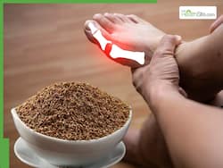 ये 5 आदतें नहीं छोड़ीं तो कभी कम नहीं होगा यूरिक एसिड, चलना-फिरना भी हो जाएगा मुश्किल