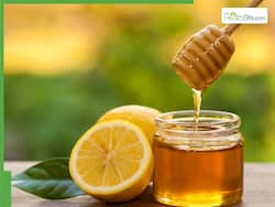 Honey On Empty Stomach: 5 Amazing Health Benefits of Eating Honey Daily In the Morning