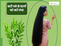 लंबी चोटी बनाने के लिए करी पत्ते का इन 3 तरीकों से करें इस्तेमाल, 1 सप्ताह में ही में दिखेगा असर