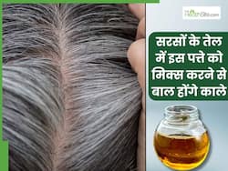 सफेद बालों को काला करने के लिए सरसों के तेल में मिलाकर लगाएं ये 1 पत्ता, हफ्तेभर में दिखने लगेगा असर