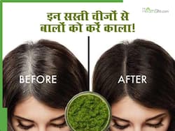 सफेद बालों को काला बनाने के लिए यूज़ करें ये नेचुरल हेयर डाई, नारियल तेल में मिलानी हैं 3-4 चीजें