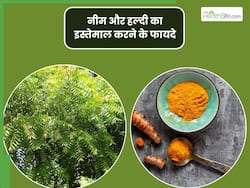 नीम और हल्दी का एक साथ सेवन करने से दूर होंगी ये परेशानियां, इस तरह करें सेवन