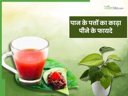 कोलेस्ट्रॉल से लेकर डायबिटीज को कंट्रोल करेगा पान के पत्तों का काढ़ा, जानिए आसान सी रेसिपी