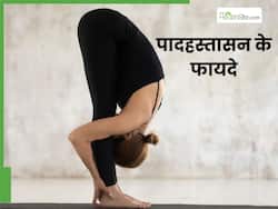 पादहस्तासन करने से सेहत को मिलते हैं ये 8 फायदे, जानें करने का सही तरीका