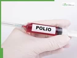 Polio Outbreak In Pakistan: 3 New Cases Recorded In Pakistan Taking The Total Tally To 55 In 2024