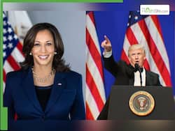 2024 US Elections: Tips To Reduce Anxiety As Election Results Are Announced