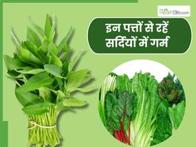 ठंड में शरीर को गर्म रखेंगी ये 5 आसानी से मिलने वाली पत्तियां, हीटर की नहीं होगी जरूरत