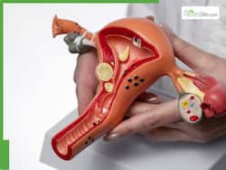 Cervical Cancer: The Essential Role Of Early Detection And Screening In Prevention