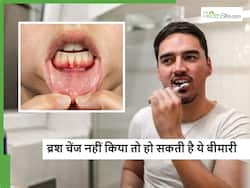 समय पर ब्रश न बदलने पर हो सकती हैं ये बीमारियां, जानें कब व कितने समय में बदल देना चाहिए ब्रश