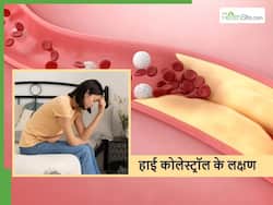 शरीर में ये 5 लक्षण बताएंगे नसों में जमना शुरू हो गया बैड कोलेस्ट्रॉल, हार्ट अटैक से पहले ही करें पहचान