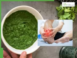 जोड़ों में यूरिक एसिड को जमने से रोकेगी स्वाद में खास लाजवाब ये चटनी, जान लें सेवन करने का सही तरीका