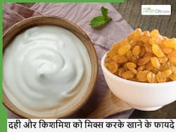 सर्दियों में सेहत को कई गुना फायदे देगा दही व किशमिश का मिश्रण, जानें सेवन करने के फायदे