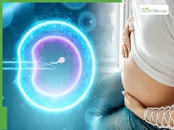 Delayed Pregnancy: Are You Guaranteed To Get Pregnant After Freezing Your Eggs?