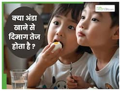 तेज दिमाग के लिए 1 दिन में कितने अंडे खाने चाहिए? जानिए क्या होता है अंडे खाने से