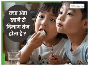 तेज दिमाग के लिए 1 दिन में कितने अंडे खाने चाहिए? जानिए क्या होता है अंडे खाने से