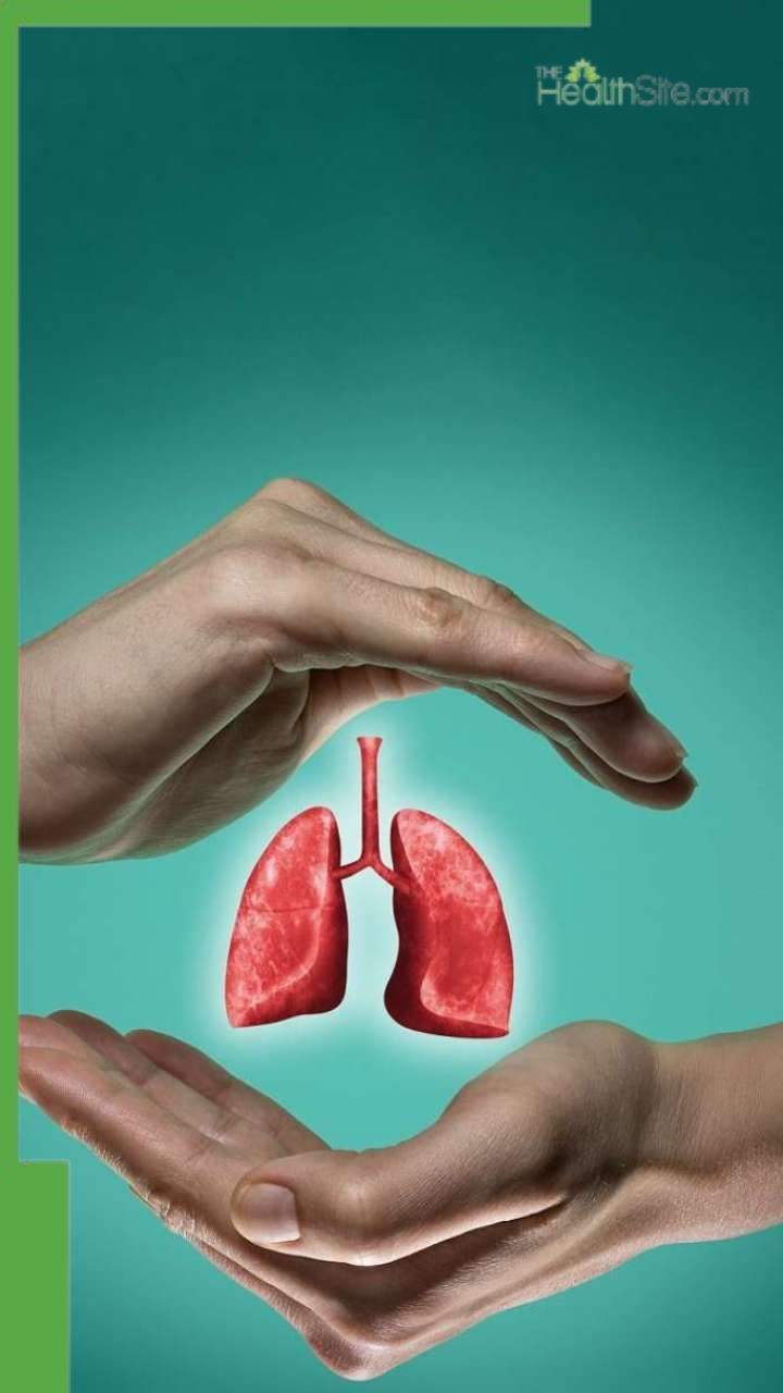 फेफड़ों में जमा गंदगी को बार फेंक देंगी ये 7 आयुर्वेदिक जड़ी-बूटियां