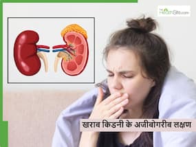 किडनियां खराब होते ही दिन भर महसूस हो सकते हैं ये 5 लक्षण, 10 में 8 लोग नहीं समझ पाते इन्हें किडनियां खराब होते ही दिन भर महसूस हो सकते हैं ये 5 लक्षण, 10 में 8 लोग नहीं समझ पाते इन्हें