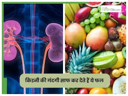 क‍िडनी के लिए बहुत अच्छे हैं ये 8 फल, सूजन और पथरी से भी दिलाते हैं छुटकारा