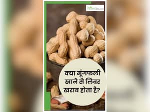 क्‍या ज्‍यादा मूंगफली खाने से ल‍िवर खराब हो जाता है?