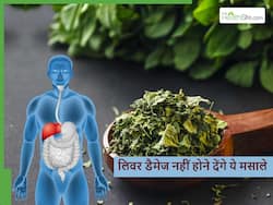लिवर को डैमेज होते-होते बचा लेंगे ये 5 भारतीय मसाले, बस ऐसे करें डाइट में शामिल