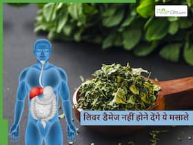 लिवर को डैमेज होते-होते बचा लेंगे ये 5 भारतीय मसाले, बस ऐसे करें डाइट में शामिल लिवर को डैमेज होते-होते बचा लेंगे ये 5 भारतीय मसाले, बस ऐसे करें डाइट में शामिल