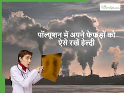 Lung health: बढ़ते पॉल्यूशन में लंग्स डैमेज होने का बढ़ सकता है खतरा, जानें कैसे करें इनका बचाव