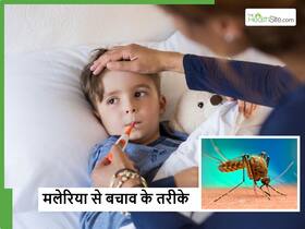 देश के कई हिस्सों में बढ़ रहे हैं मलेरिया के मामले, जान लें इनसे बचाव करने के 5 तरीके