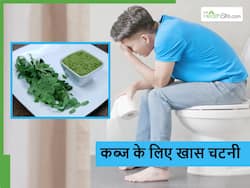 लंबे समय से कब्ज से परेशान ब्रेकफास्ट में लें मोरिंगा की चटनी, बिना दवाओं के होने लगेगा पेट साफ