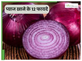 इस तरह प्याज खाने से एकदम साफ हो जाती हैं आंतें, सुबह उठते ही पेट होगा खाली