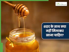 शहद के साथ इन 5 चीजों को मिलाकर खाने से बन जाएगा जहर, खाने से पहले हो जाएं सतर्क शहद के साथ इन 5 चीजों को मिलाकर खाने से बन जाएगा जहर, खाने से पहले हो जाएं सतर्क