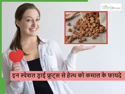 न्यूट्रिशन के मामले में काजू-बादाम को भी फेल कर देंगे या ब्राउन कलर के नट्स, इनसे मिलने वाले फायदे कर देंगे हैरान