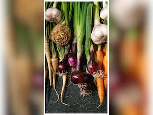 सर्दियों में जरूर खाएं जमीन के नीचे उगने वाली ये 8 सब्जियां