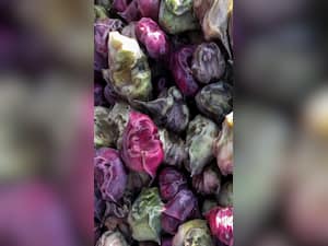 9 Reasons Why You Should Eat Water Chestnuts Or Singhara In Winter