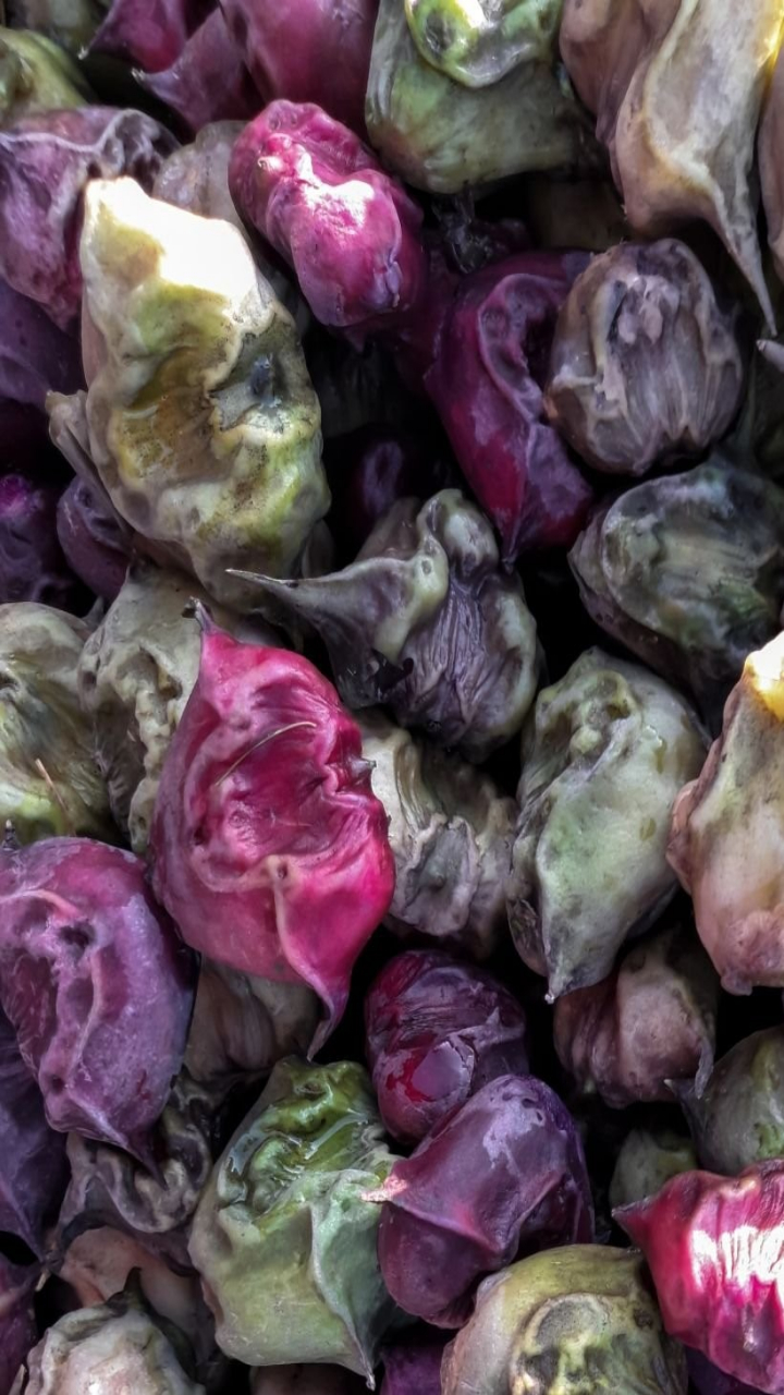 9 Reasons Why You Should Eat Water Chestnuts Or Singhara In Winter