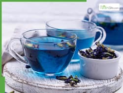 10 Medicinal Benefits of Drinking Shankhpushpi or Blue Butterfly Pea Tea Daily