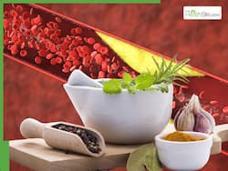 10 Medicinal Herbs To Lower High Cholesterol Levels Naturally Without Surgery