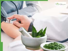 10 Medicinal Leaves To Lower High Blood Pressure Naturally Without Medication