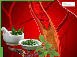 10 Medicinal Leaves To Prevent Clogged Arteries At Night Naturally Without Surgery