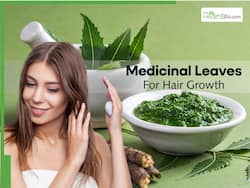 10 Medicinal Leaves To Prevent Hair Fall And Boost Hair Growth