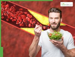 10 Medicinal Shrubs To Lower High Cholesterol Levels Naturally Without Surgery