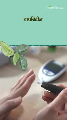 Curry Leaf Control Diabetes