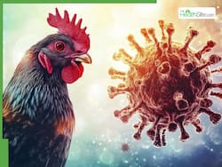 Vietnam Records 4 Influenza-Related Deaths; Ministry Of Health Tightens Surveillance