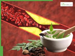 10 Medicinal Leaves To Lower High Cholesterol Levels Naturally