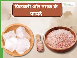 फिटकरी और नमक को मिलाकर इस्तेमाल करने से से दूर होंगी ये 5 समस्याएं, जानिए प्रयोग का सही तरीका