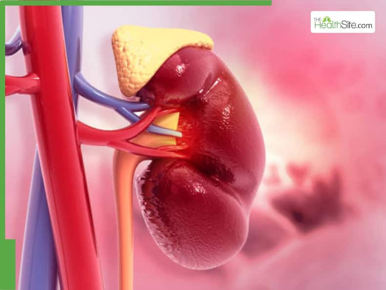 thehealthsite.com top news